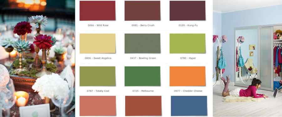 color palette image