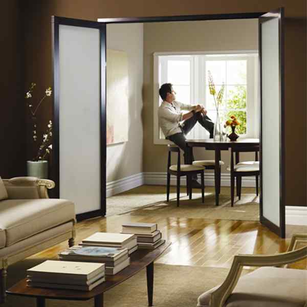 Swinging Modern Contemporary Glass Double Interior Doors