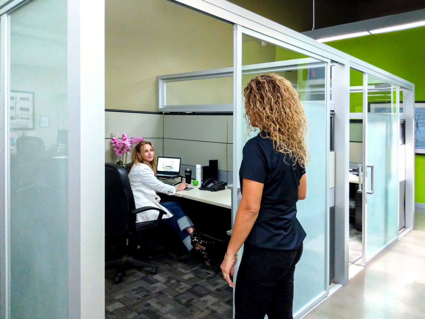 Coworkers at work in glass office enclosures